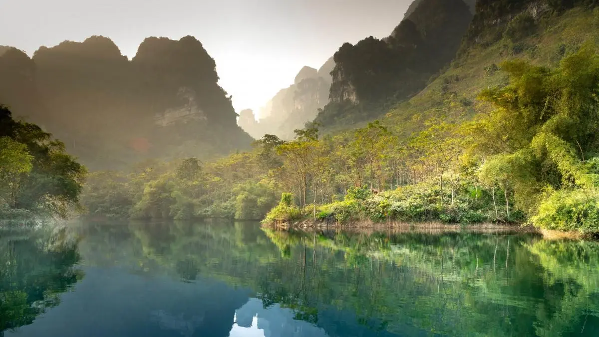 绿色高质量科技